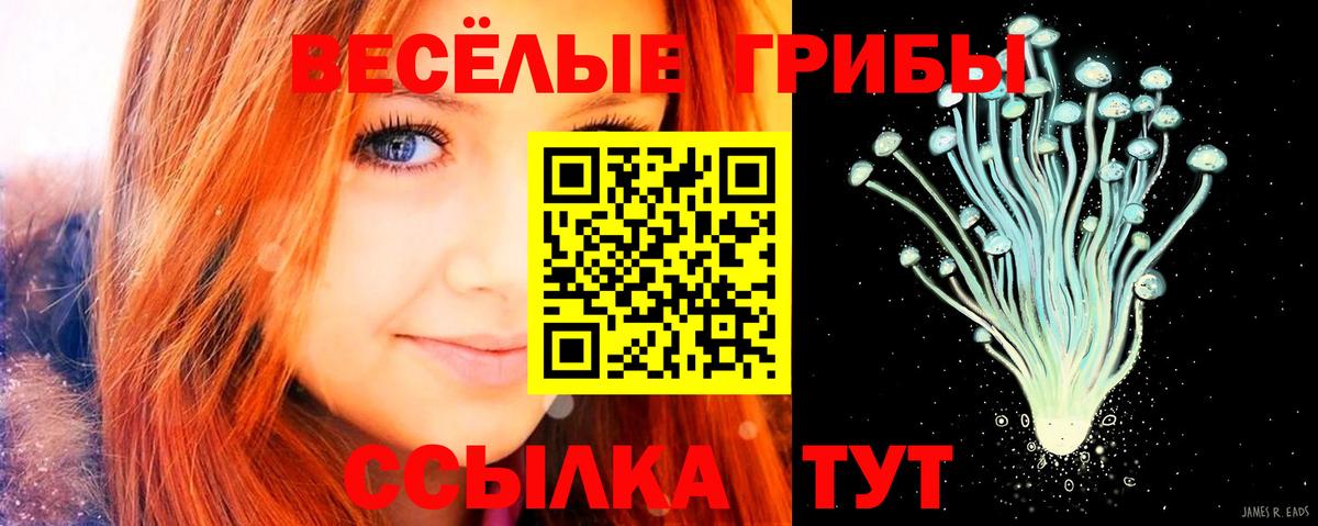 Псилоцибиновые грибы MAGIC MUSHROOMS Зеленогорск